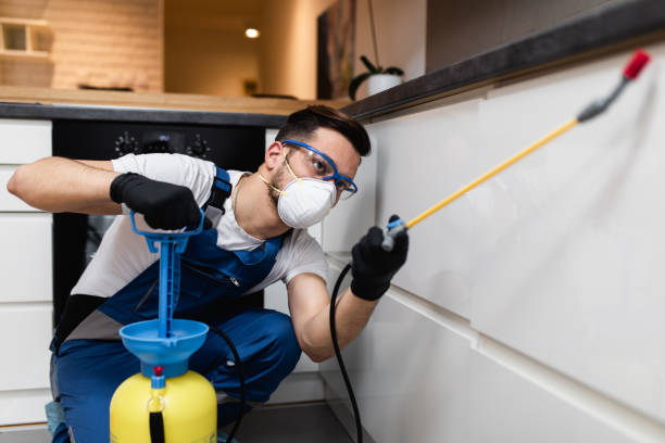 Best Pest Prevention Services  in Grottoes, VA
