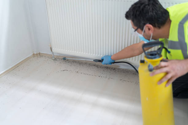Best Pest Prevention Services  in Grottoes, VA