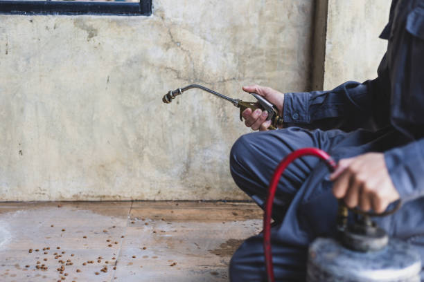 Best Pest Inspection Near Me  in Grottoes, VA